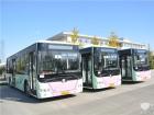 實(shí)拍北京大興運(yùn)營的中車電動(dòng)公交