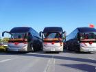 安凱客車(chē)2025年新春首發(fā) 276臺(tái)車(chē)輛駛向全球多個(gè)國(guó)家