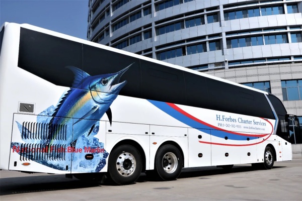 開往巴哈馬！中通帶你體驗(yàn)DIY客車，暢游加勒比