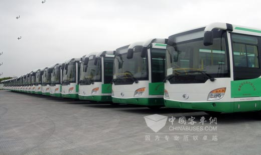 申龍公交車大批量進(jìn)入廣東市場