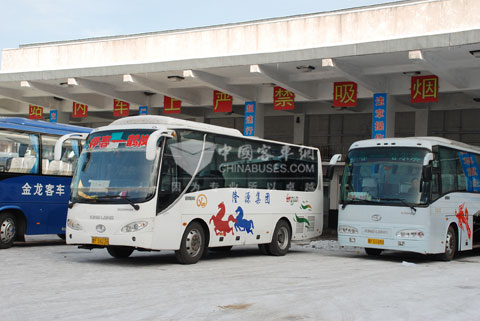 在伊春客運(yùn)市場(chǎng)，許多車主都選擇用大金龍的車