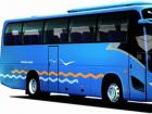 大金龍旅游團(tuán)體拳頭車型。XMQ6117外觀設(shè)計(jì)采用國際同步流行的曲線精致搭建——大弧面、流線型，飽滿而有張力。自上市以來，在市場上都有不俗表現(xiàn)，2009年更是保持佳績，銷售達(dá)到800多輛，銷售金額近4億，是當(dāng)之無愧的暢銷車型。