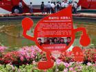 愛(ài)心相伴