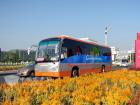鮮花、笑臉、靚車相映成景