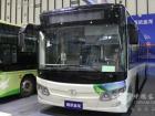 南京金龍展車(chē)