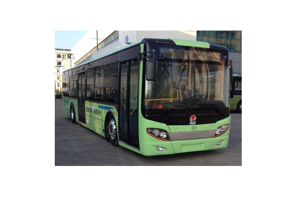 五洲龍F(tuán)DG6121EVG公交車（純電動10-31座）