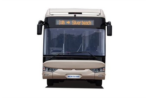 亞星JS6116GHCP公交車（天然氣國(guó)五20-46座）