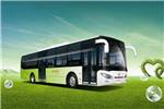亞星JS6127GHBEV公交車（純電動(dòng)20-46座）