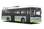 揚(yáng)子江WG6100BEVHM3公交車(chē)（純電動(dòng)20-36座）