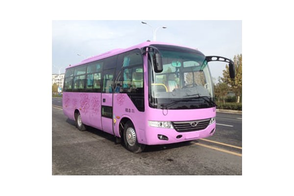 少林SLG6752C5E客車(chē)（柴油國(guó)五24-31座）