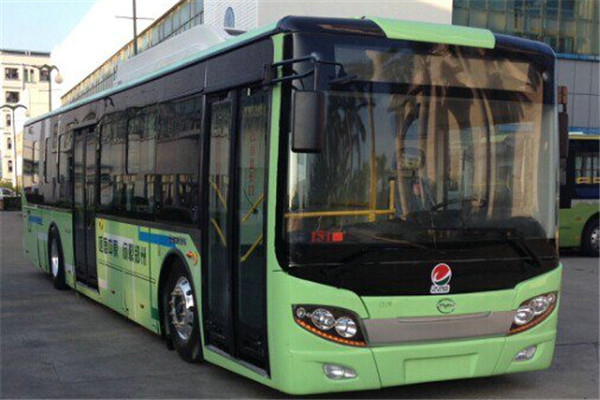 五洲龍F(tuán)DG6125EVG公交車（純電動10-31座）