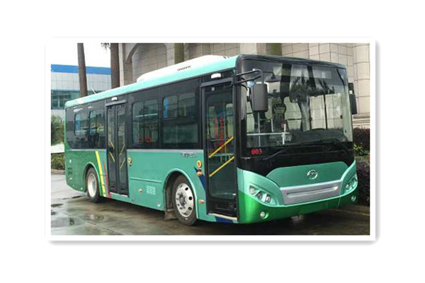 五洲龍F(tuán)DG6851EVG8公交車（純電動10-28座）