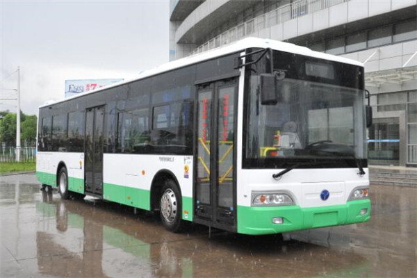 揚(yáng)子江WG6120BEVHM7公交車（純電動29-45座）