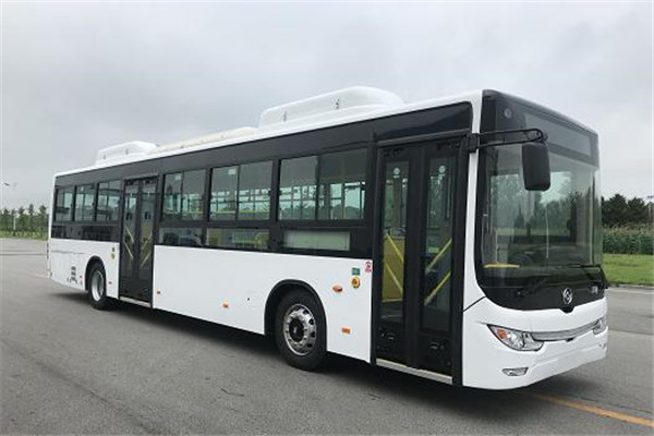 黃海DD6129EV20公交車(chē)（純電動(dòng)24-46座）