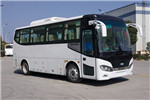 南京金龍NJL6822EVG公交車(chē)（純電動(dòng)24-36座）