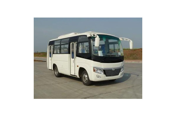 東風(fēng)旅行車(chē)DFA6600KJN5A公交車(chē)（天然氣國(guó)五10-17座）