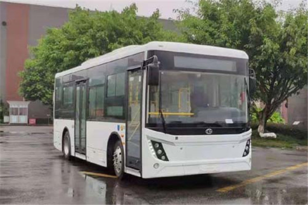 中興GTZ6859BEVB1公交車(chē)（純電動(dòng)15-27座）