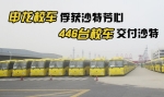 申龍校車俘獲沙特芳心 446臺(tái)校車交付沙特
